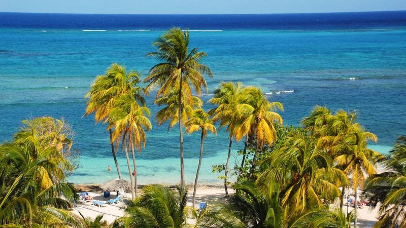 Beautiful beach and Palm Trees on the shore of Playa Guardalava near Holguin - Cuba